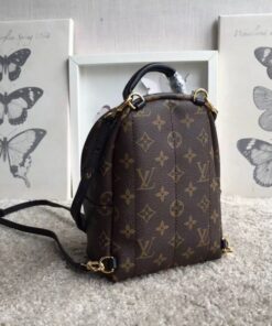 Replica Louis Vuitton Palm Springs Mini Backpack M41562 BLV017 2