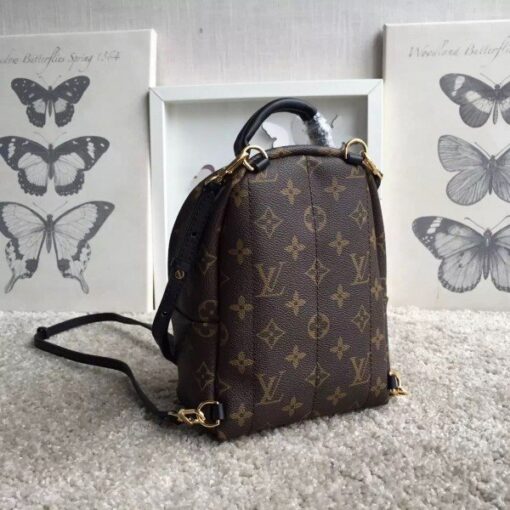 Replica Louis Vuitton Palm Springs Mini Backpack M41562 BLV017 2