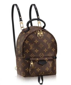 Replica Louis Vuitton Palm Springs Mini Backpack M41562 BLV017