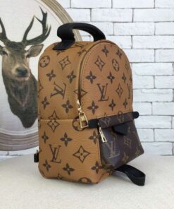 Replica Louis Vuitton Palm Springs Backpack Mini M42411 BLV020 2