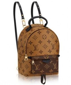 Replica Louis Vuitton Palm Springs Backpack Mini M42411 BLV020