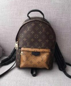 Replica Louis Vuitton Palm Springs PM Backpack Monogram Reverse M43116 BLV021 2