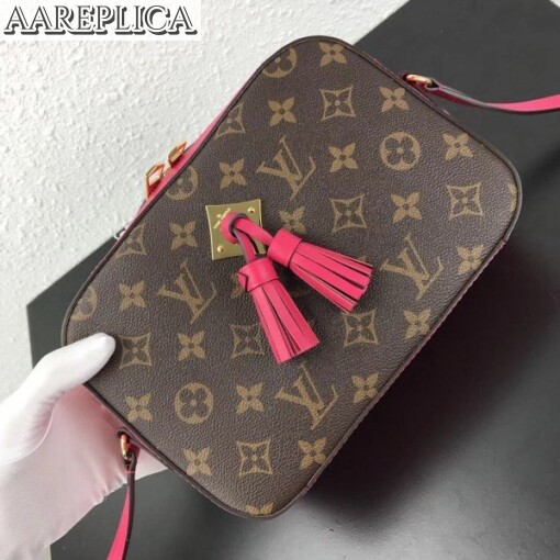 Replica Louis Vuitton Freesia Saintonge Bag Monogram M43557 BLV465 2