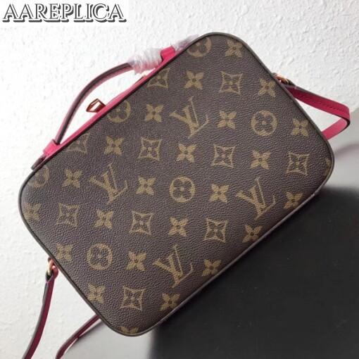 Replica Louis Vuitton Freesia Saintonge Bag Monogram M43557 BLV465 3