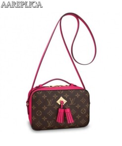 Replica Louis Vuitton Freesia Saintonge Bag Monogram M43557 BLV465