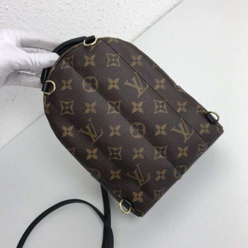 Replica Louis Vuitton Palm Springs Mini Backpack M44367 BLV004 4