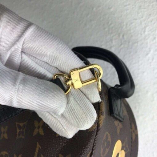 Replica Louis Vuitton Palm Springs Mini Backpack M44367 BLV004 5