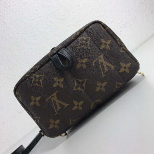 Replica Louis Vuitton Palm Springs Mini Backpack M44367 BLV004 8