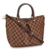 Replica Louis Vuitton Neonoe Bag Damier Ebene N40198 BLV088 9