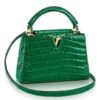 Replica Louis Vuitton Capucines Mini With Python Handle Flap N97074 BLV802 9