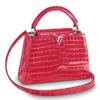 Replica Louis Vuitton Capucines Mini Crocodile Bag N93254 BLV808 12