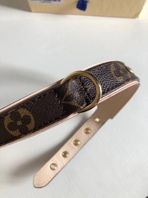 Replica Louis Vuitton Baxter Dog Collar PM M58072 3