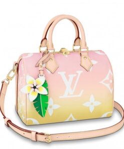 Replica Louis Vuitton Speedy Bandouli??re 25 Bag Monogram Giant M45724