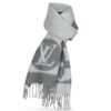 Replica Louis Vuitton LV Graphical Scarf M00497 10