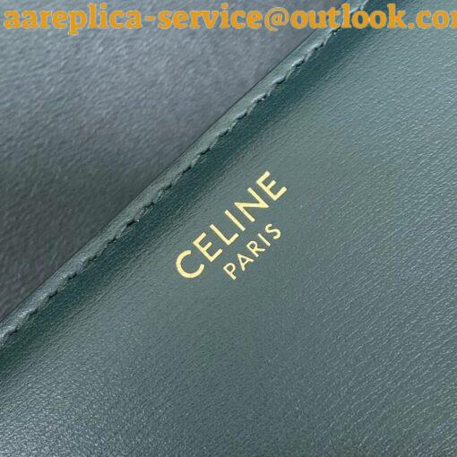 Replica Celine Triomphe Medium Bag In Amazone Smooth Calfskin 10