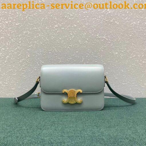 Replica Celine Triomphe Teen Bag In Mineral Leather 6