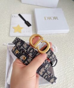 Replica Dior Saddle 20MM Belt In Blue Dior Oblique Jacquard